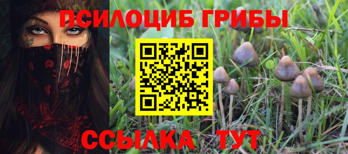 Псилоцибиновые грибы ЛСД Комсомольск-на-Амуре