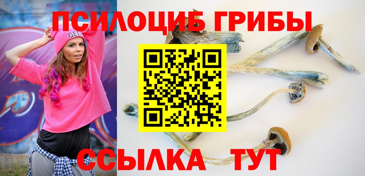 Псилоцибиновые грибы GOLDEN TEACHER  Вход с VPN  Комсомольск-на-Амуре 